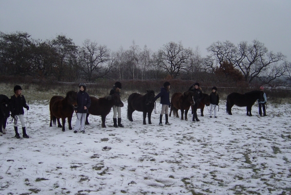 DSC08726-uprava.jpg