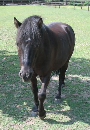 foto8.jpg