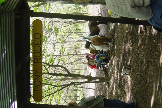 DSC07375Uprava.jpg