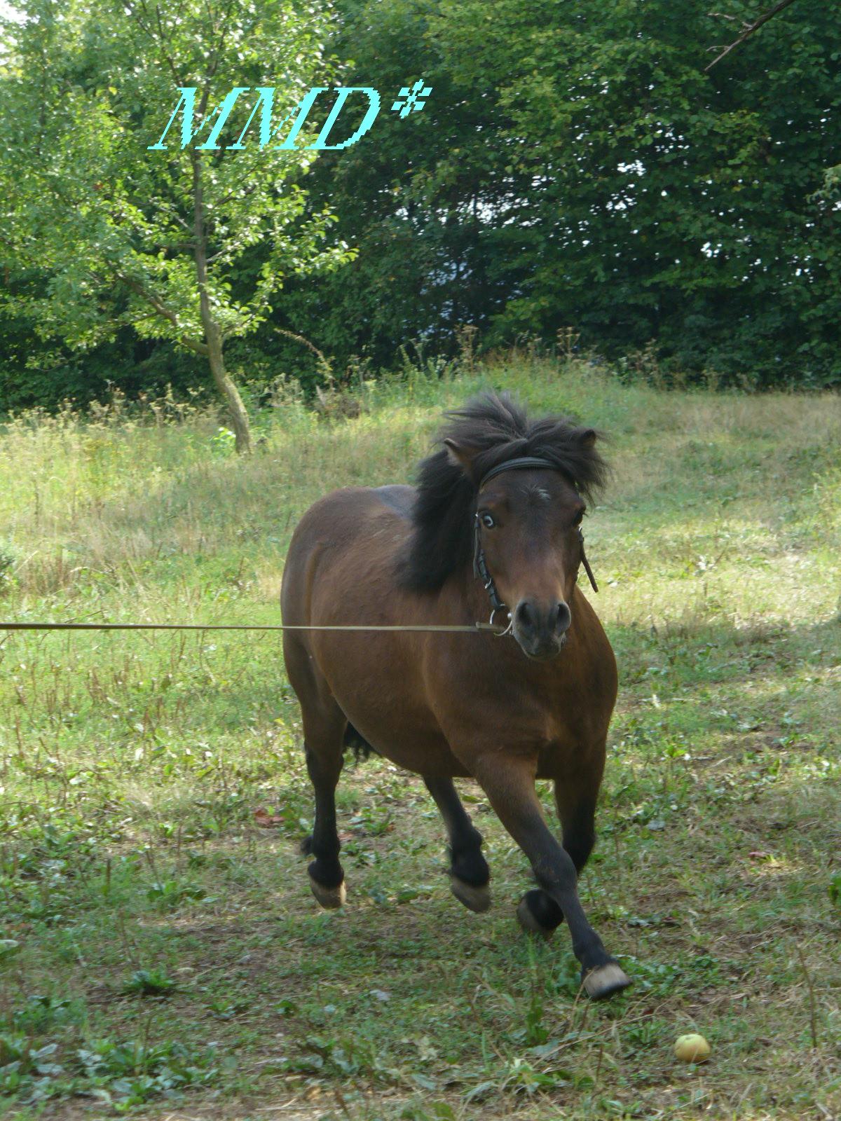 Mikky-lonzovani07.JPG