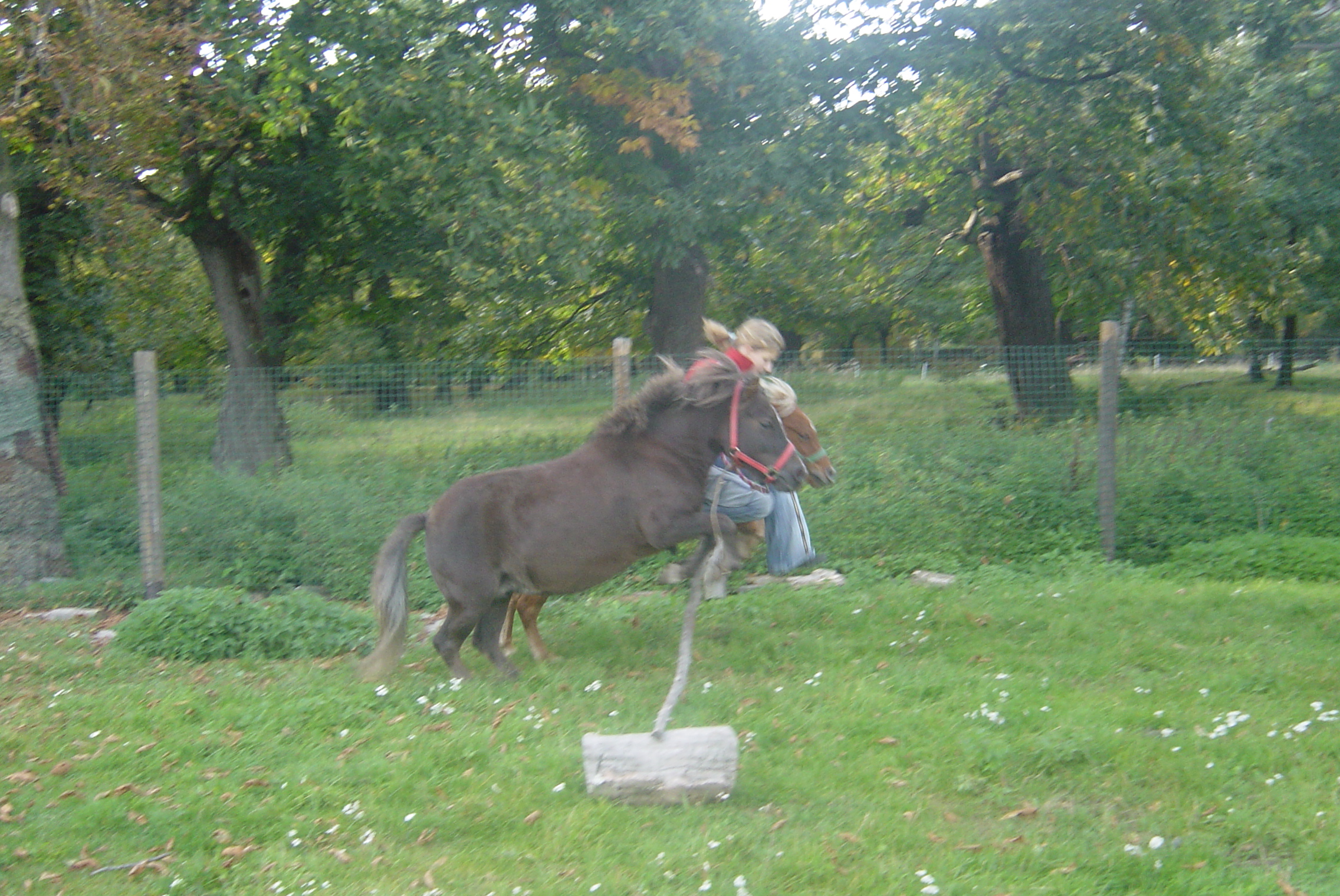 DSC01163.JPG